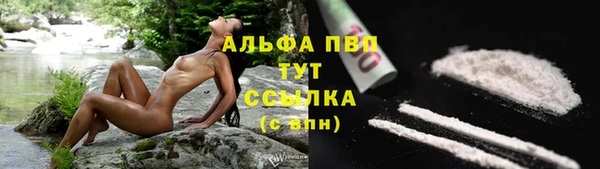 тгк Абинск