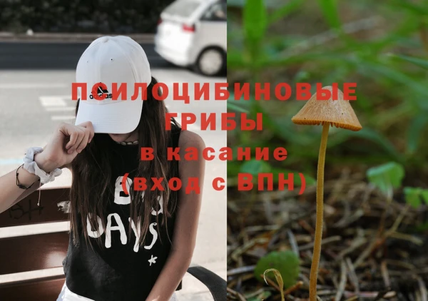 стаф Абдулино