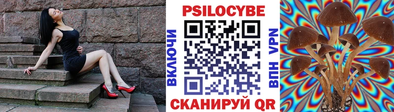 Галлюциногенные грибы прущие грибы Котово