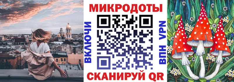 kraken рабочий сайт  Котово  Галлюциногенные грибы ЛСД 